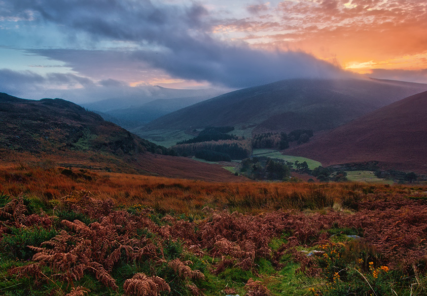 Summer 2023 Newsletter