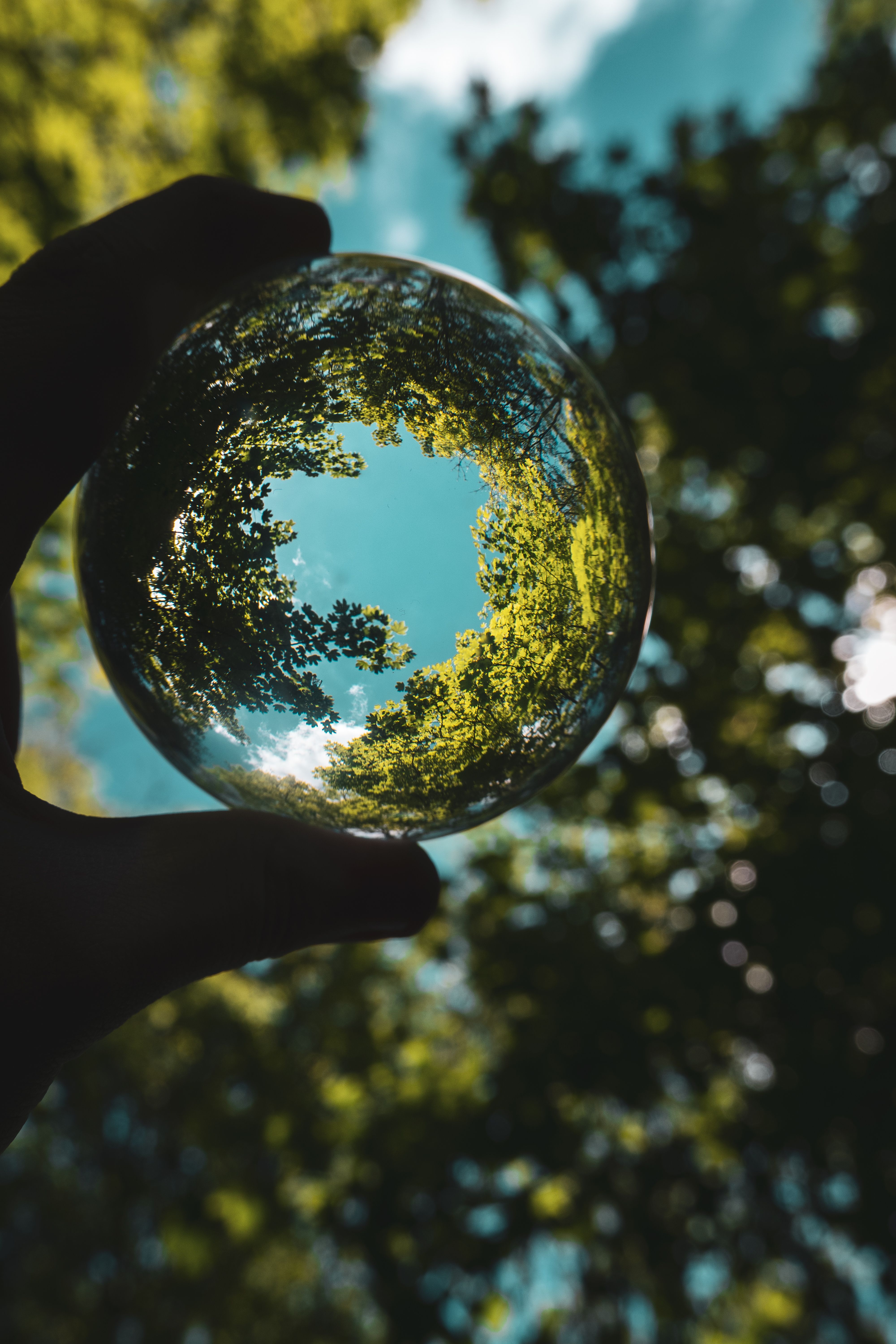 Go Green with Balllyconnell Credit Union. Click here!